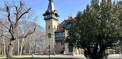 Kino na Goyki z ambitnym repertuarem na wiosnę