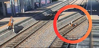 Kobieta spadła na tory w Gdańsku! Dramatyczne nagranie z monitoringu PKM