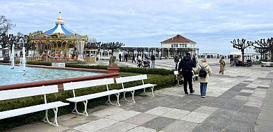 Nowe kwiaty przy molo! Skwer Kuracyjny znów będzie przyciągał kolorami