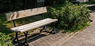 W Sopocie staną nowe kosze i ławki! To tu brakowało ich najbardziej