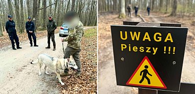 Las w Sopocie pod ochroną! Policja i Straż Leśna dba o przestrzeganie prawa