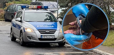 Podrobione tablice i nielegalny pobyt! Sprawa z Sopotu trafiła do prokuratury