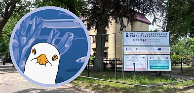 Ocean Zmian w Sopocie. Nauka, Bałtyk i zabawa dla całych rodzin