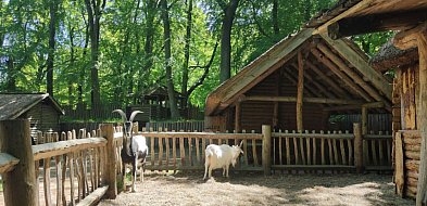 Grodzisko w Sopocie kusi atrakcjami na wakacje