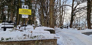Sopot szykuje się do rozbudowy cmentarza! W planach kaplica, łąka pamięci i...