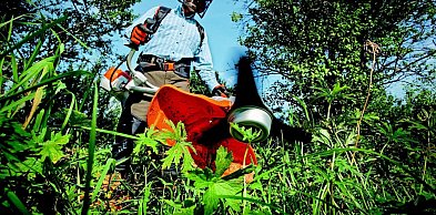 Od projektu do realizacji - jak przyspieszyć prace ogrodowe dzięki dobrze dobranem