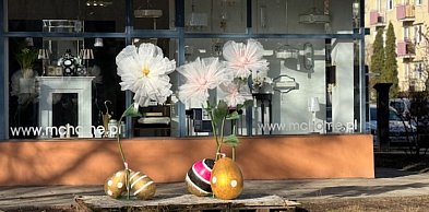 Zamiast jelenia kwiaty i jaja! Sopot zyskał nową, radosną dekorację