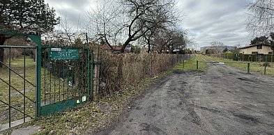 Co dalej z ROD Oaza przy granicy Sopotu i Gdańska? Czytelniczka bije na alarm