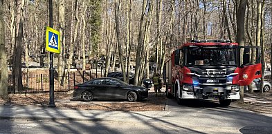 Ogień na sopockim cmentarzu. Na miejscu pracowali strażacy i policjanci