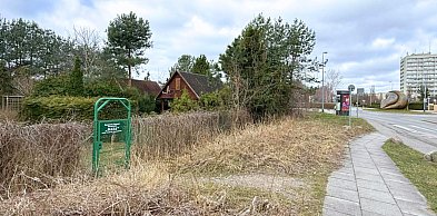 Powstała petycja w obronie ROD „Oaza” w Sopocie