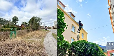 Walka z dzikim wynajmem i plany na trzcinowisko. Prezydentka Sopotu o zmianach