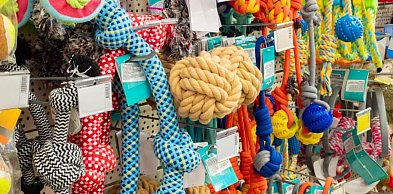 Sklep zoologiczny online — 7 rzeczy, które odróżniają dobry sklep od przeciętnego