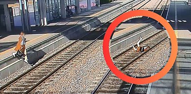 Kobieta spadła na tory w Gdańsku! Dramatyczne nagranie z monitoringu PKM