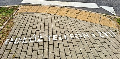 Mała zmiana szansą na przeżycie? Sopot wraca do znanej akcji