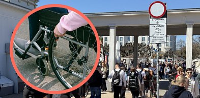 Radna z Gdyni i fake news o Sopocie. Poszło o niepełnosprawnych