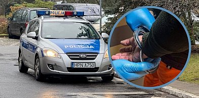 Podrobione tablice i nielegalny pobyt! Sprawa z Sopotu trafiła do prokuratury