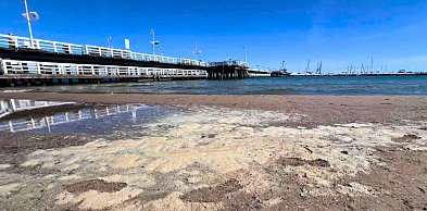 Plaża w Sopocie jest brudna? Żółty osad nad Bałtykiem