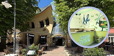 Bunny Handroll znika z Krzywego Domku! Będzie nowa lokalizacja i ogródek
