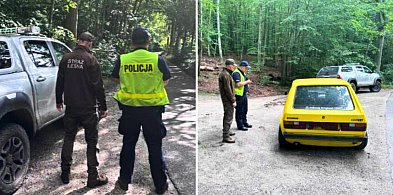 Samochody i quady niszczą lasy. Wspólna akcja służb w Sopocie-35377