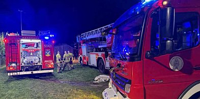 Pożar na działkach w Sopocie. Strażacy pracowali blisko dwie godziny-35565