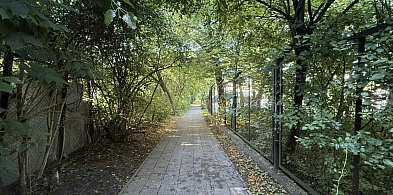 Radny pyta o kłopotliwą sopocką ulicę. Teren nie ma nawet oficjalnej nazwy-35656