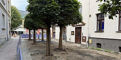 Nowe ustalenia w sprawie ul. Bema! Władze Sopotu wysłuchały mieszkańców-36480