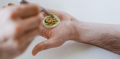 Sopot i Praga łączą siły w sztuce! Zobacz wystawę inspirowaną życiem grzybów-36501