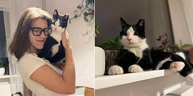 Kotka Zosia wróciła do domu! Szczęśliwy finał sopockich poszukiwań-36674