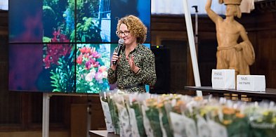 Tak wyglądają najładniejsze posesje w Sopocie! Konkurs został rozstrzygnięty-36677