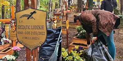 Zadbali o zapomniane groby! Wzruszająca akcja na cmentarzu w Sopocie-36782