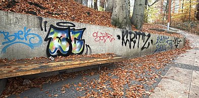 Monitoring nagrał wandali w Sopocie! Zdewastowali dwa znane miejsca-37079