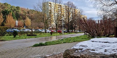 Pierwszy śnieg tej jesieni w Sopocie! Ulotna biała pierzynka na Brodwinie [FOTO]-37190