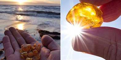 Wyrusz na poszukiwanie "złota Bałtyku" w Sopocie-37238