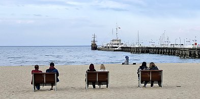 Sopoccy seniorzy wymyślili hit! Aplikacja "Ławeczka" ułatwi spotkania-37374