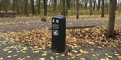 Czysty Sopot dla wszystkich? Radny chce więcej koszy na psie odchody-37368