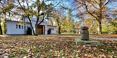 Dlaczego w Sopocie nie grabi się wszystkich liści jesienią?-37533