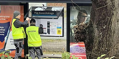 Autobusy nowej linii 177 już kursują po Sopocie-37572