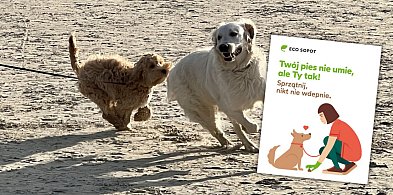 ECO Sopot rusza z nową kampanią społeczną-37614