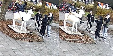 Kto zniszczył białego jelenia w Sopocie? Właściciel rzeźby apeluje o pomoc-37680