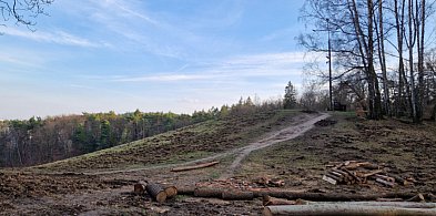 Co czeka Łysą Górę w Sopocie? Przyszły rok przyniesie istotną zmianę-37869