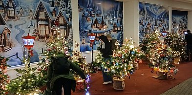 Ponad 30 choinek rozbłyśnie przy sopockim molo-37998