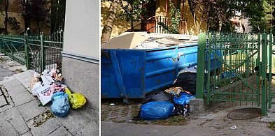 Podrzucasz śmieci, więc dostaniesz mandat? Sprawa nie jest oczywista-38116