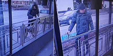 Ukradł psa sprzed sklepu w Sopocie! Jego ofiarą padł husky warty 3 tys. zł-38122