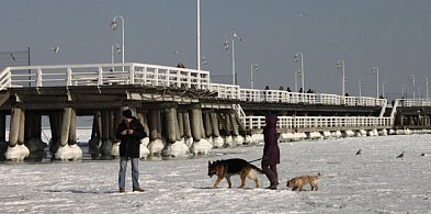 Tamtej zimy Sopot był jak z Krainy Lodu! Morze zamarzło aż po horyzont [FOTO]-38185