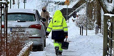To nie ZDiZ ma odśnieżyć chodnik pod domem. Sprawdź, co mówią przepisy-38575