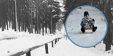 Toru saneczkowego w Sopocie nie będzie! Co poszło nie tak?-38608