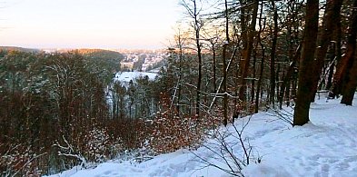 Odkryj tajemnice Glinnej Góry w Sopocie. To idealne miejsce na spacer