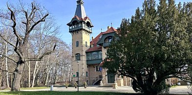 Marzec w Goyki 3 Art Inkubatorze: kino, warsztaty i nocne obserwacje sów