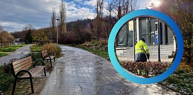 Sopot sprząta miasto po zimie! Prezydentka apeluje o zgłaszanie dziur w jezdni