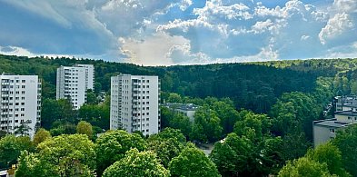 Urodziny ulicy 23 Marca w Sopocie! Przylesie zaprasza na sąsiedzkie święto